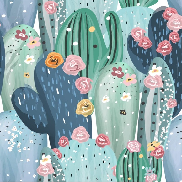 Meet Next2Nu! - Picture 1 of 1